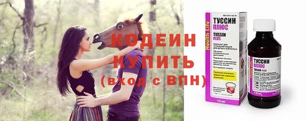 экстази Бородино