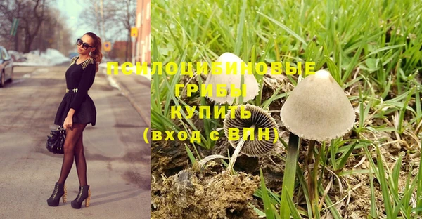трава Бронницы