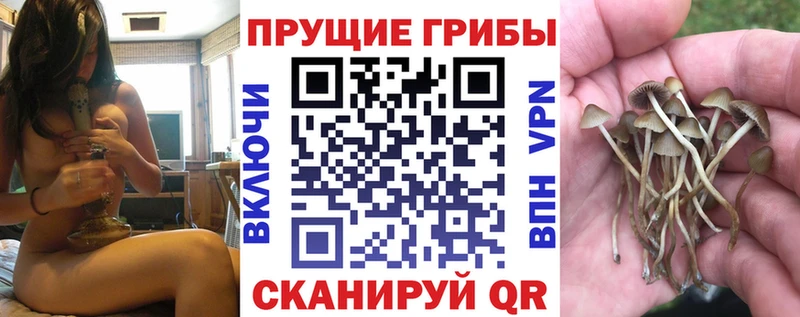 Псилоцибиновые грибы MAGIC MUSHROOMS  omg как зайти  Киржач  купить  цена 